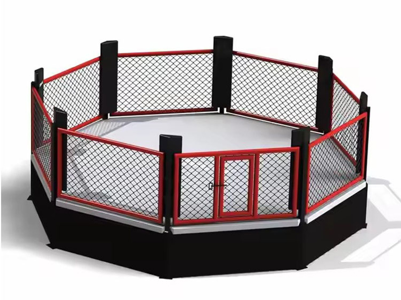 Vad finns egentligen inuti en MMA Octagon?