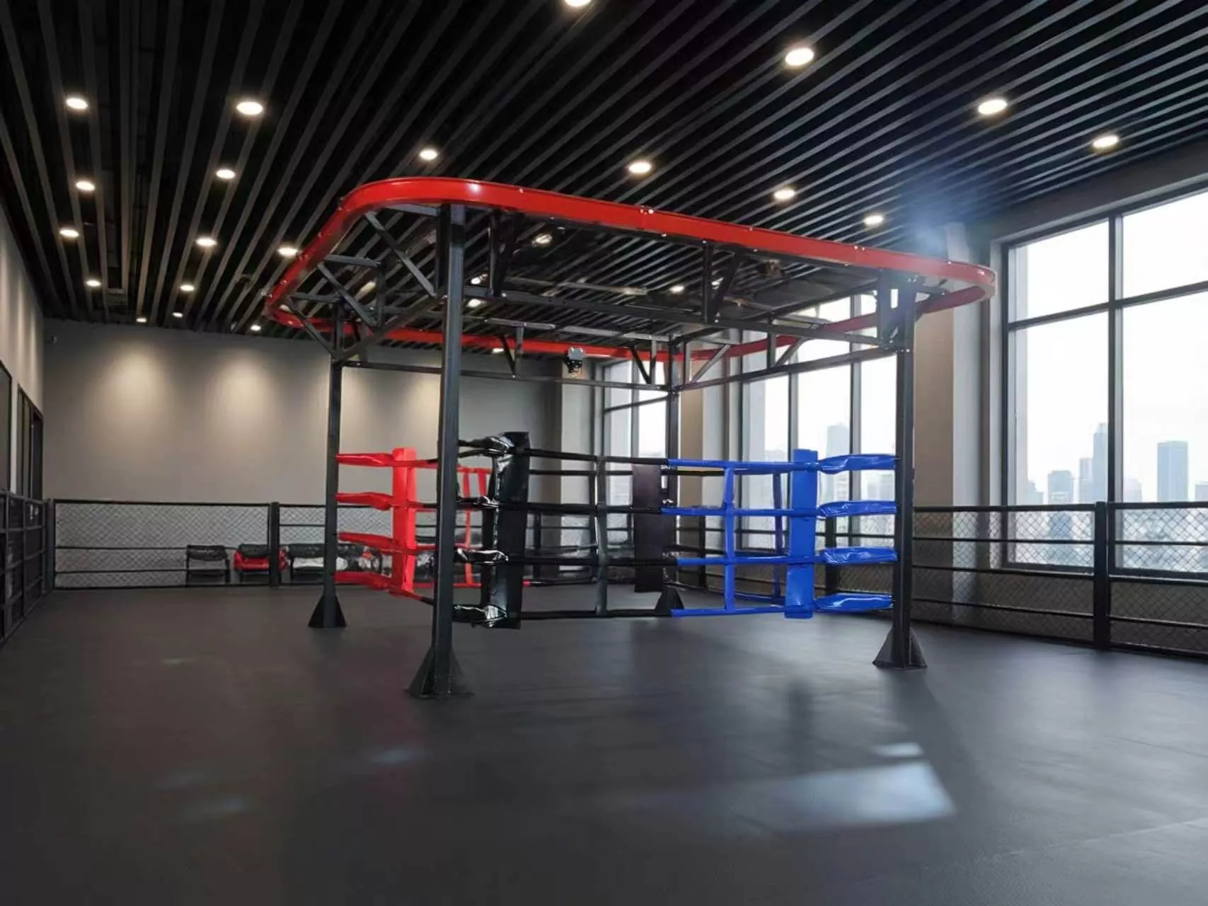 Vill du kombinera ringsparring, tungt väskarbete och funktionell konditionsträning på en enda utrustning?