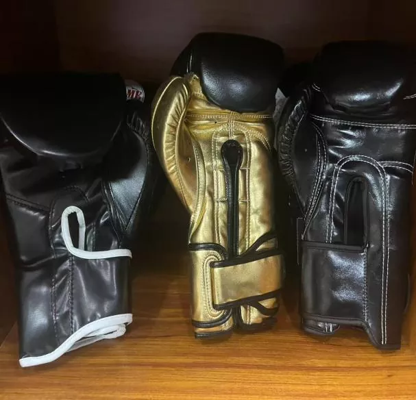 Professional combat gloves display showing different styles and colors